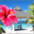Summer avatar holiday 27